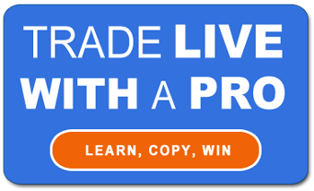 Zoom to success trading binary options - from beginner to pro