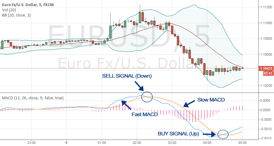 Binary options trading signals live